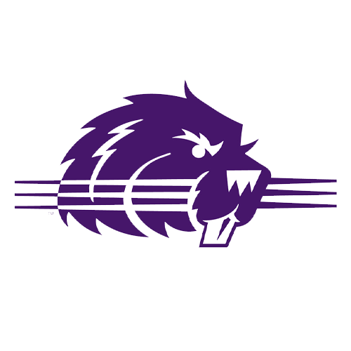 Bluffton logo