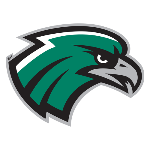 Northeastern State University logo