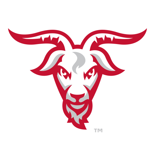 Worcester Polytechnic Institute logo